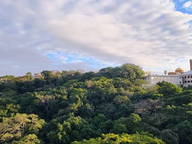 Vista da Sala - Apartamento a venda 2 Dormitórios Condomínio